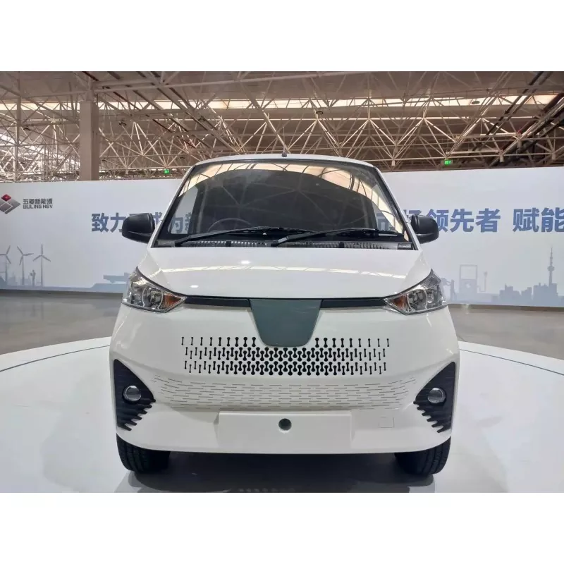Электр Мини Ван деген эмне?