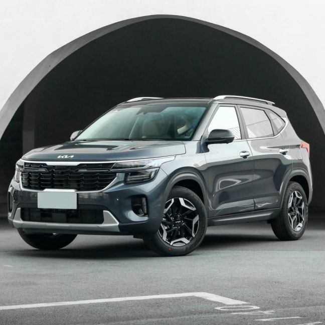 Kia Seltos 2023 бензол Olen